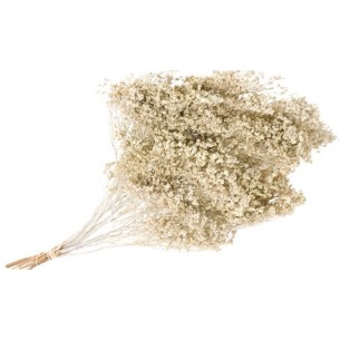 BROOM BLOOM ΕΚΡΟΥ 100gr 0924030