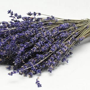 DRIED LAVENDER 70gr 25cm 0953500