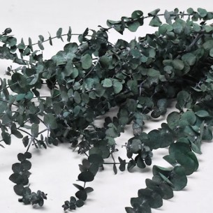 EUCALYPTUS BABY GREEN 65cm 120gr 0981603